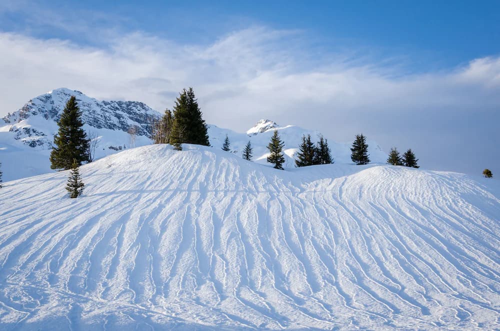 Snow and ski sports