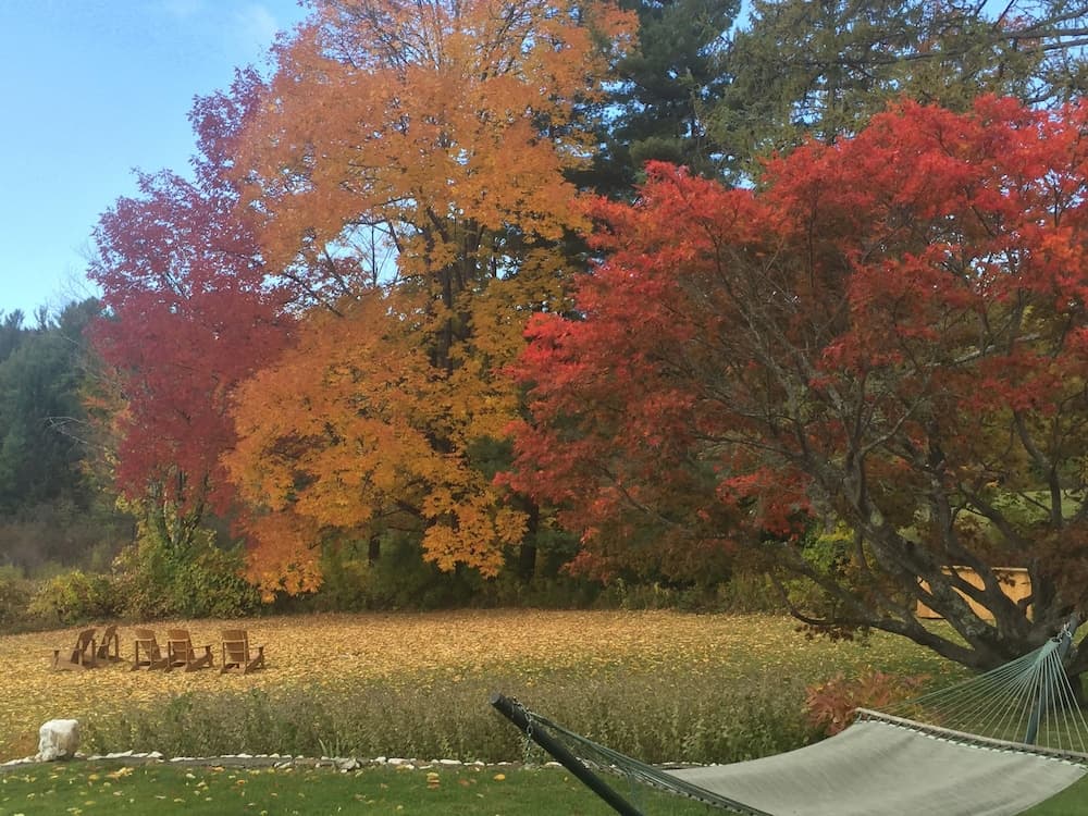 View from property