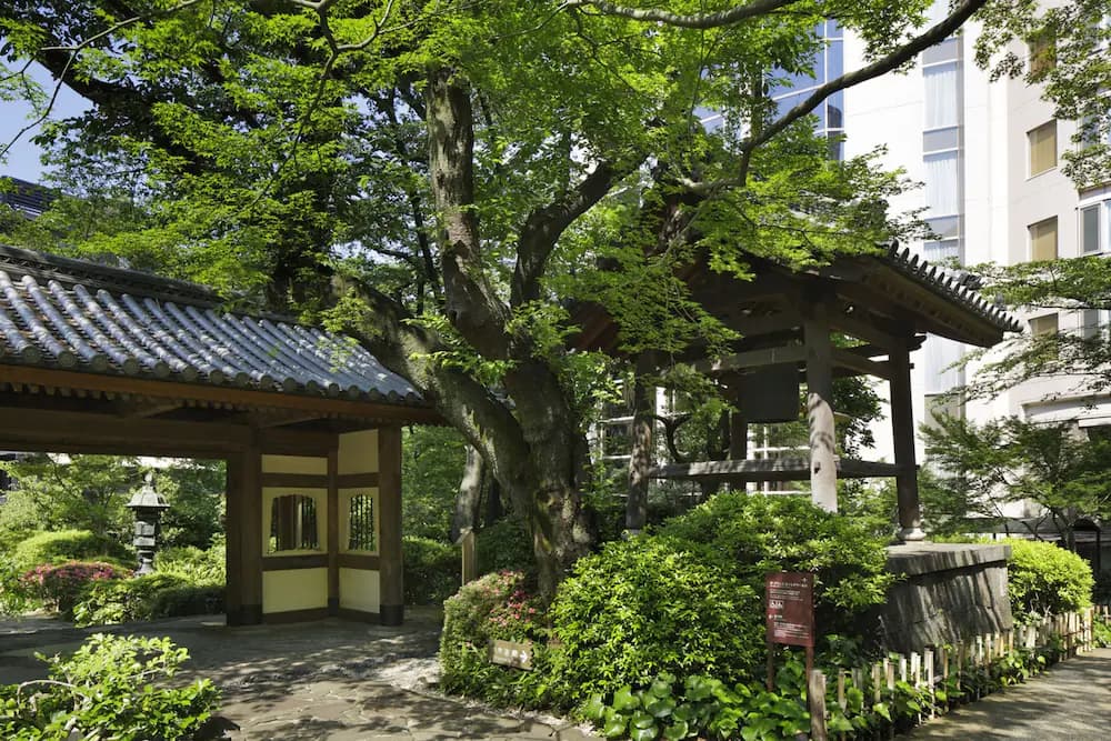 Japanese garden