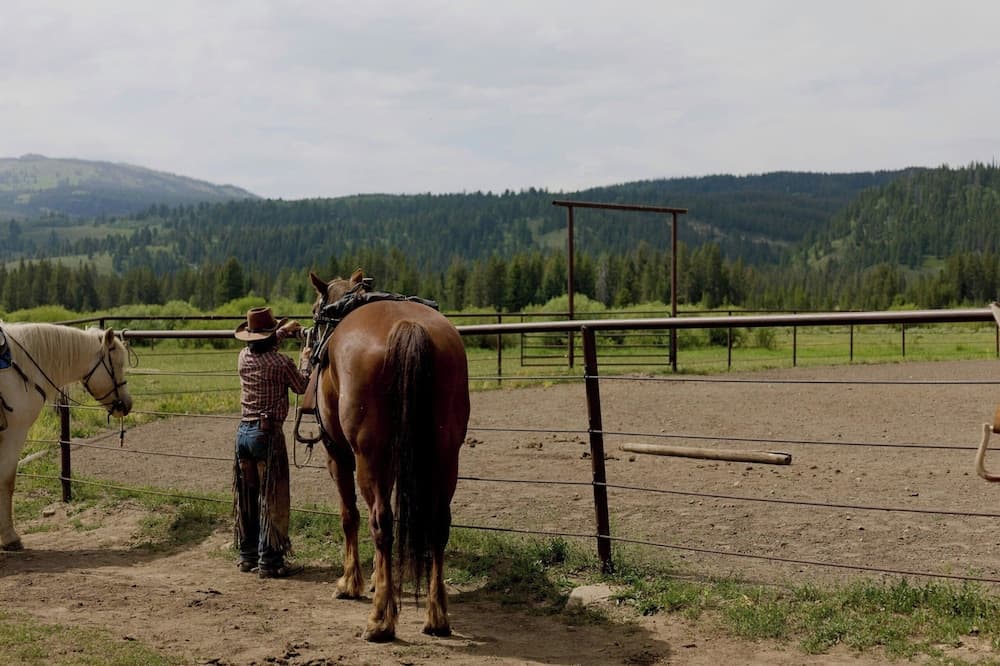 Horseback riding