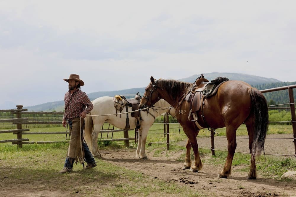 Horseback riding