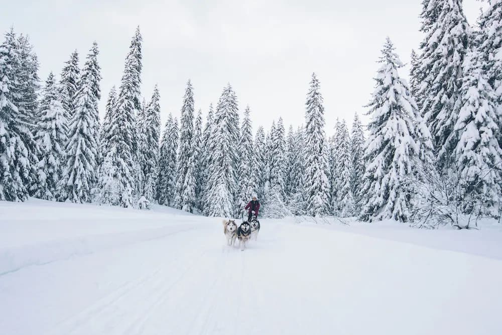 Snow and ski sports
