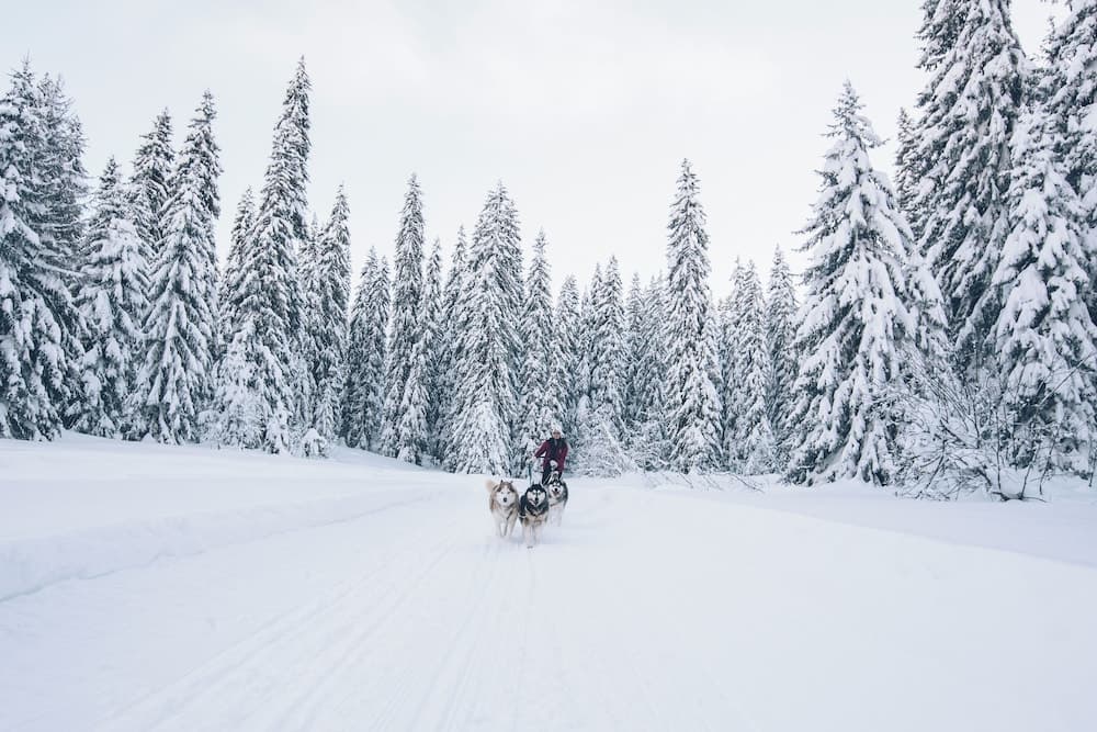 Snow and ski sports