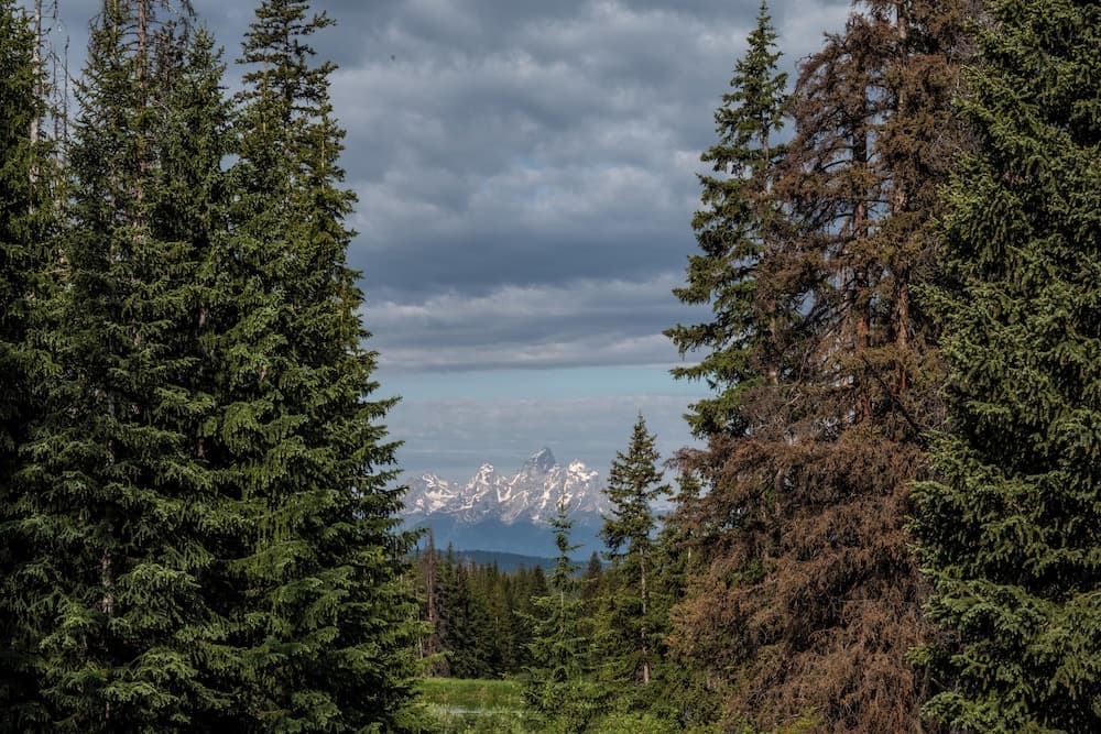 View from property