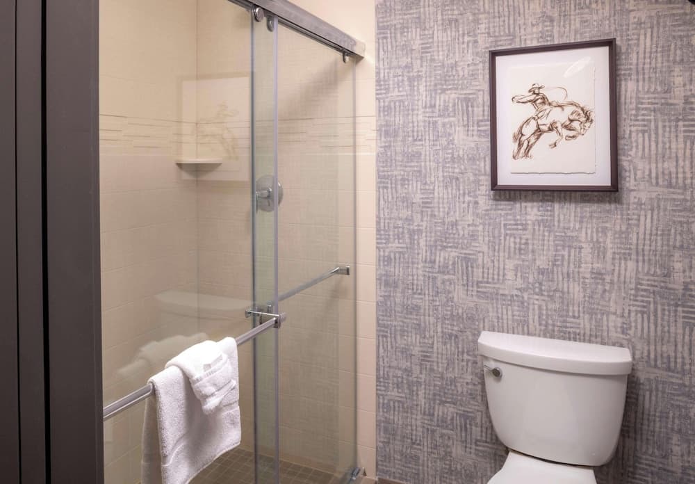Bathroom shower