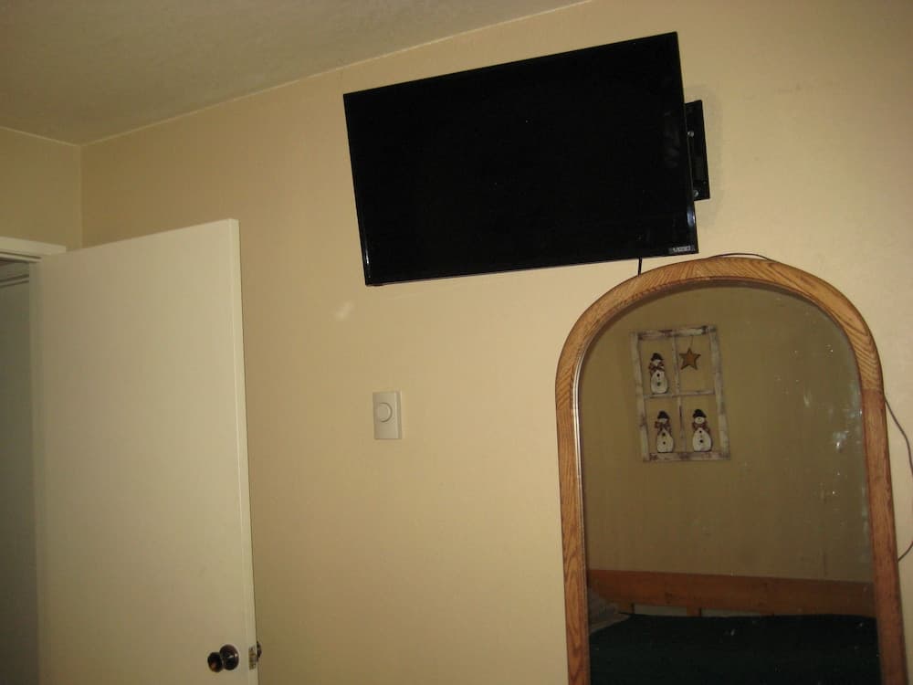 Television