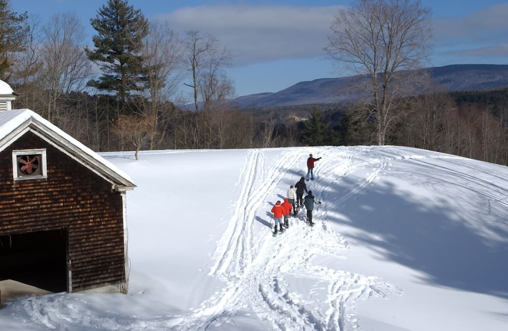 Snowshoeing