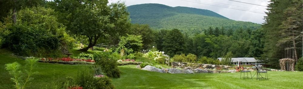 Garden view