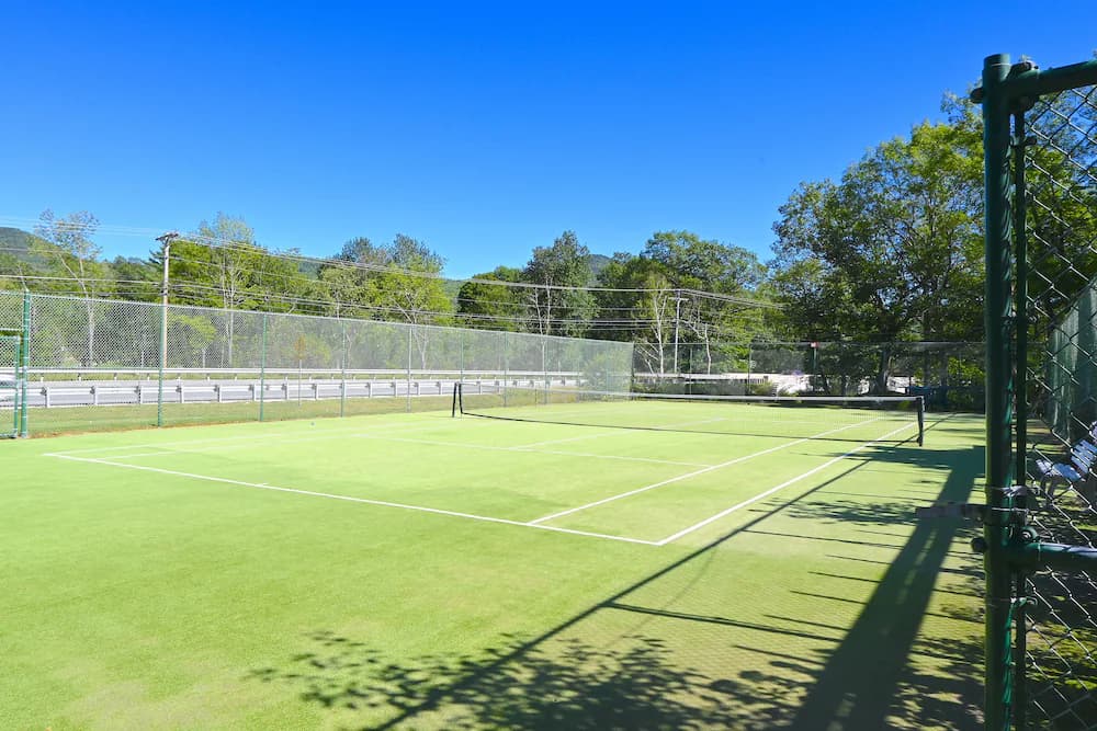 Tennis court