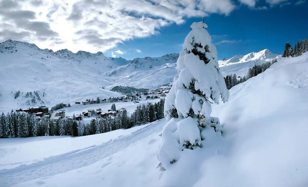 Snow and ski sports