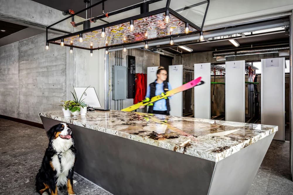 Pet-friendly