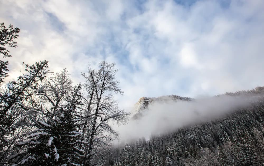 Mountain view