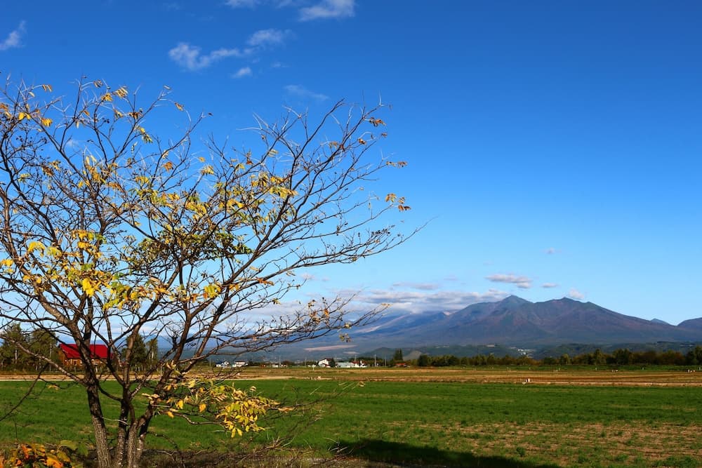 Mountain view