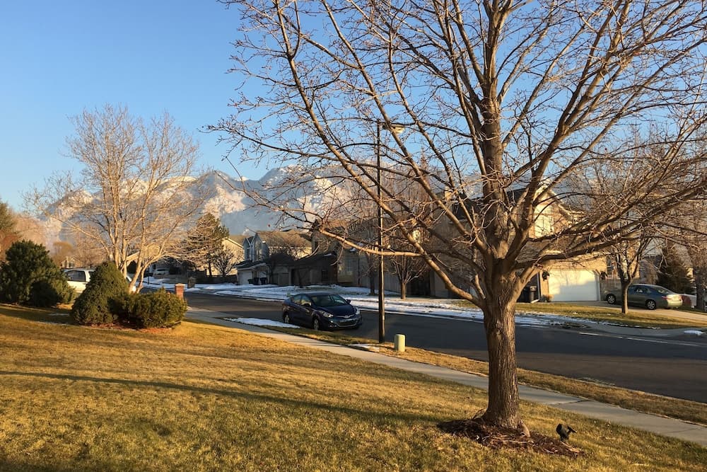 Mountain view
