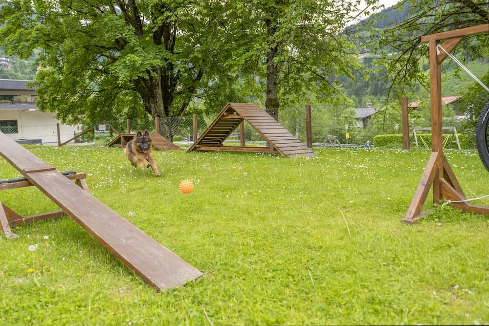 Pet-friendly amenities
