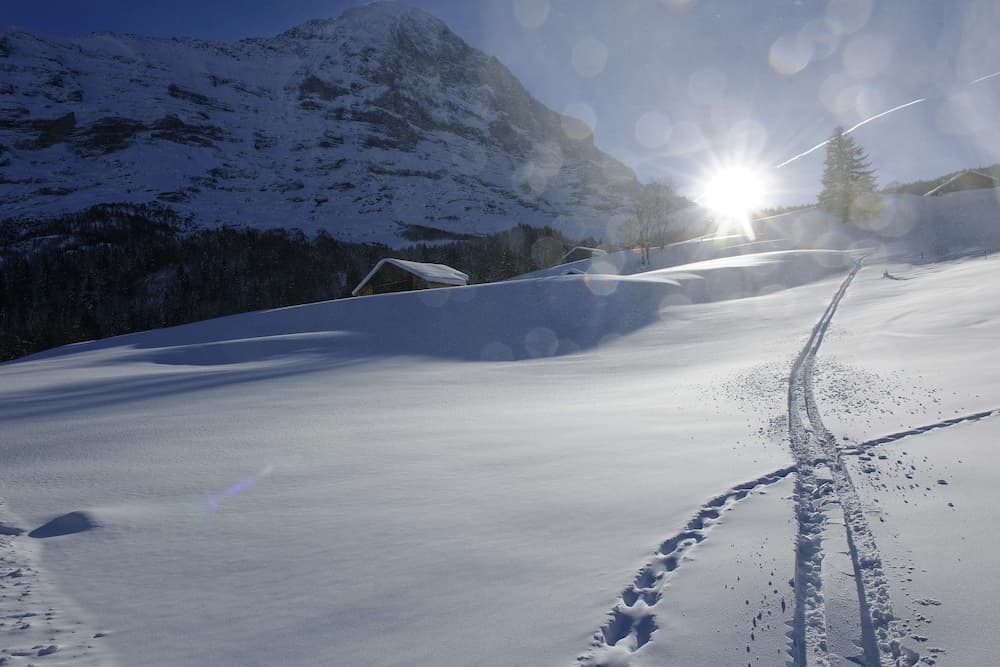 Snowshoeing