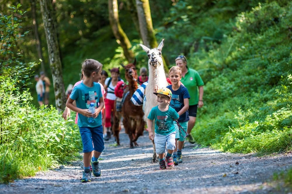 Children's activities