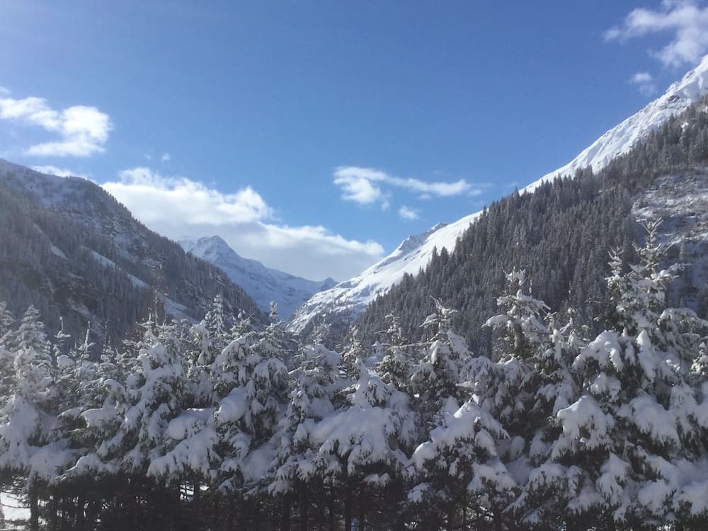 Mountain view