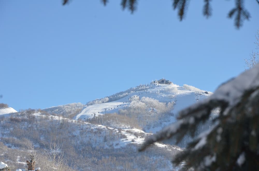 View from room