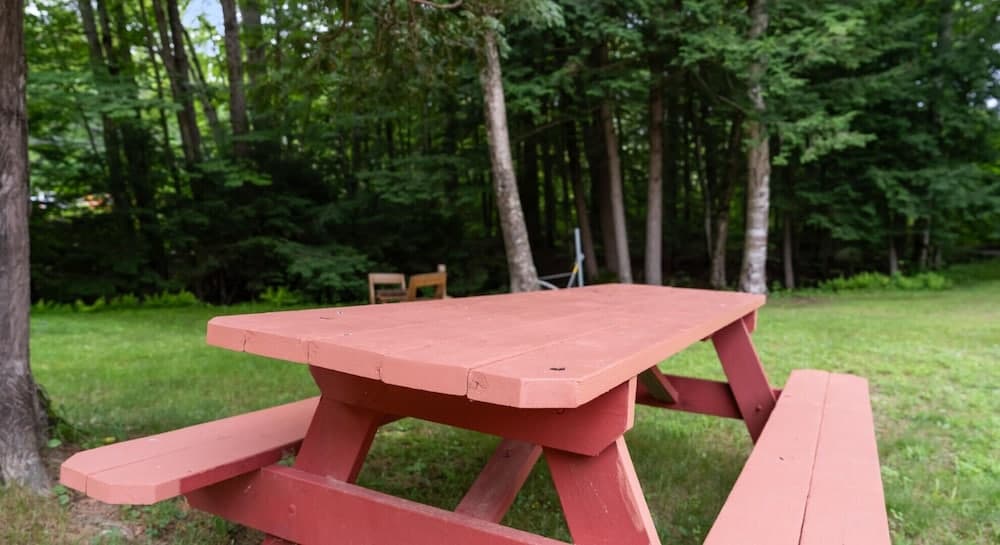 BBQ/picnic area