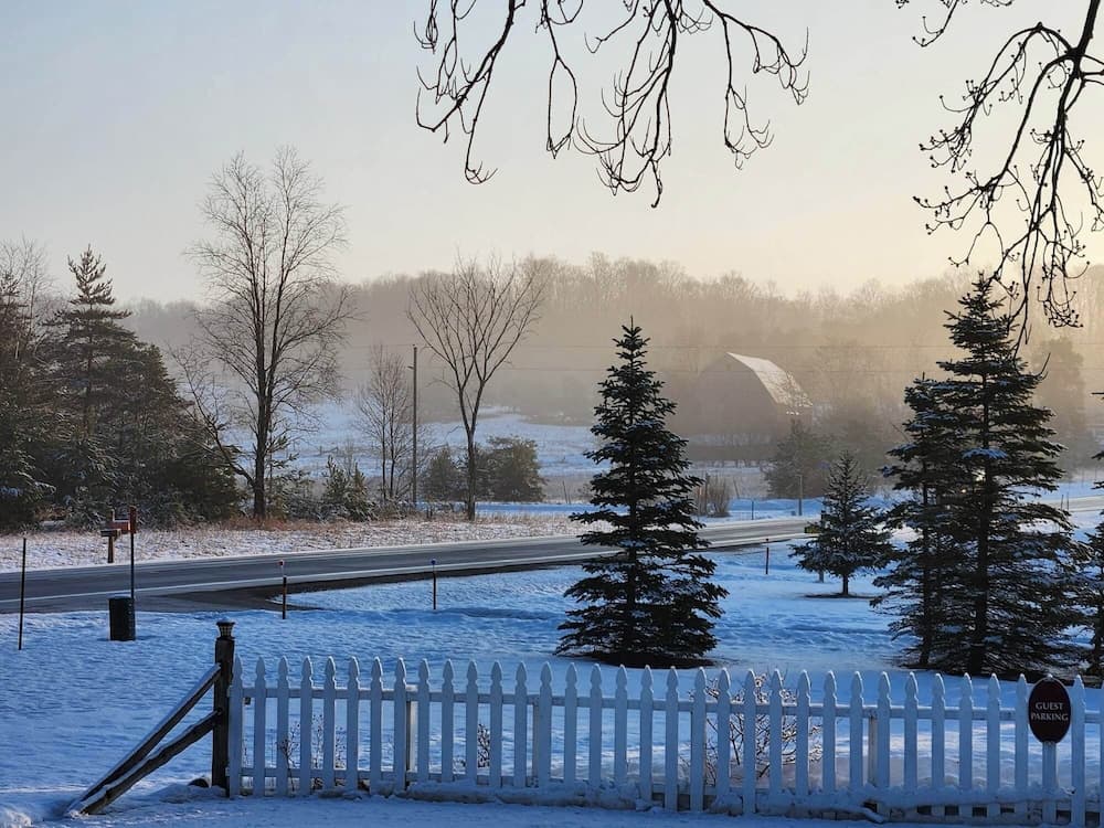 View from property