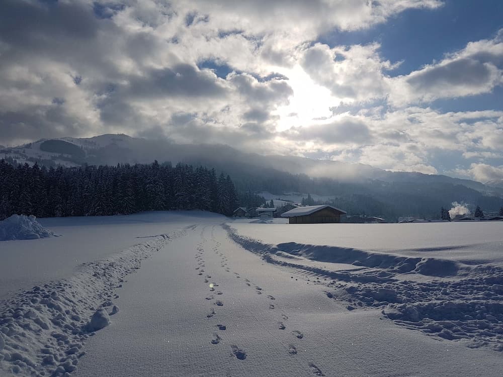 Skiing