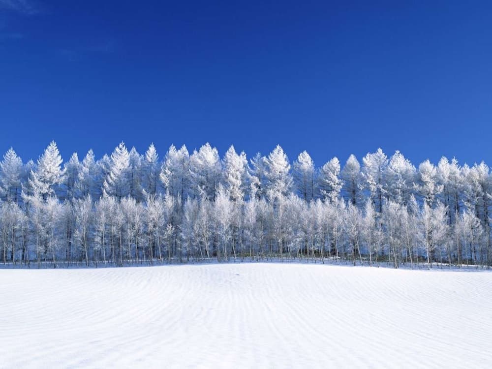 Skiing