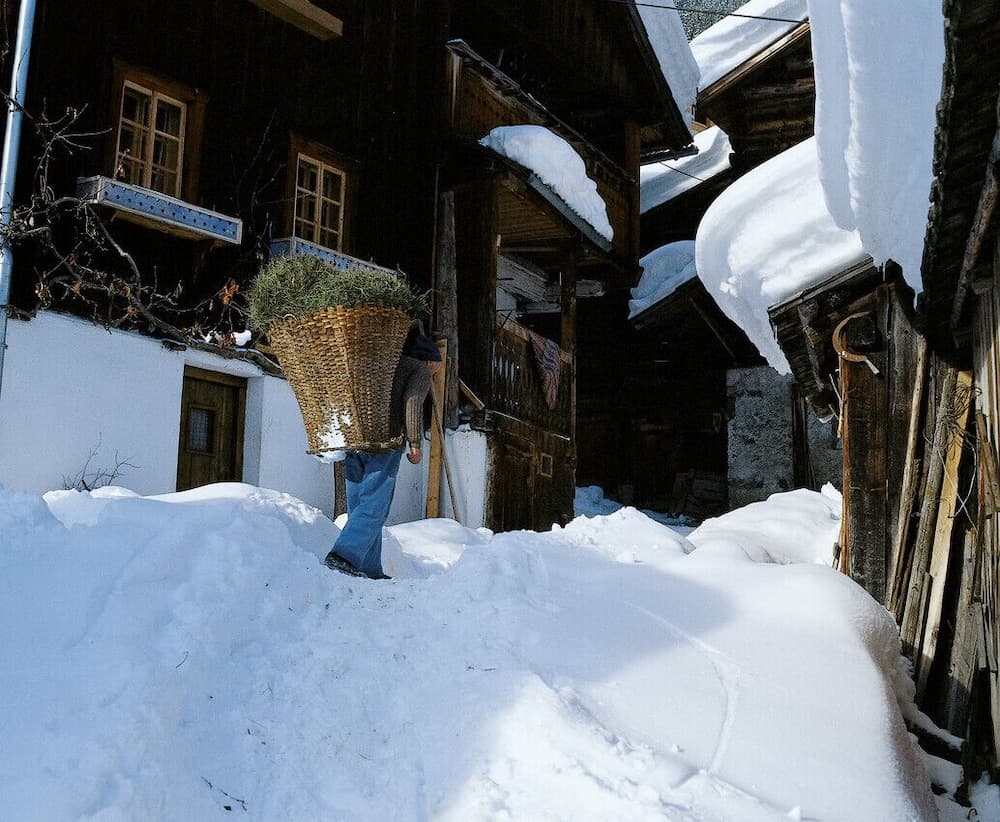 Snowshoeing