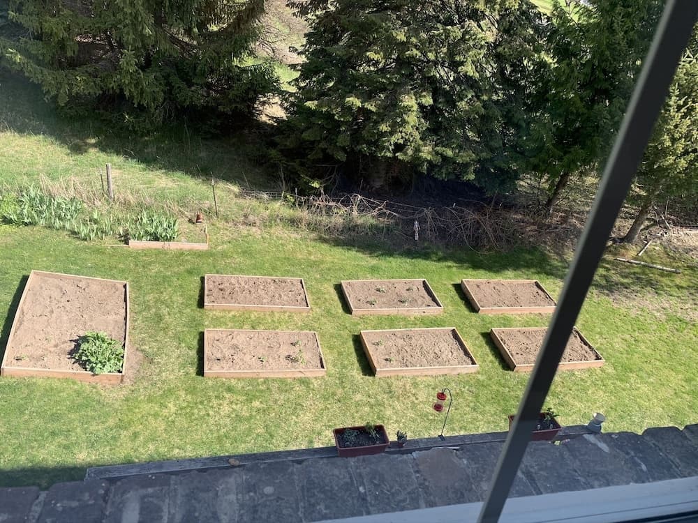 Garden view