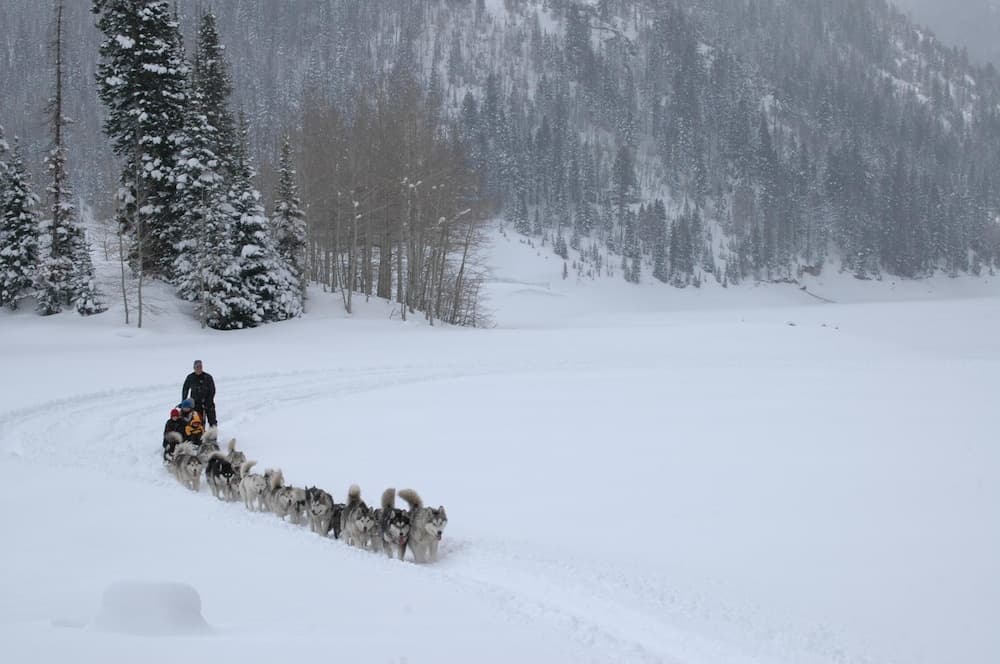 Sledding