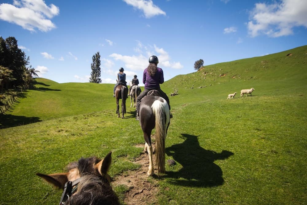 Horseback riding