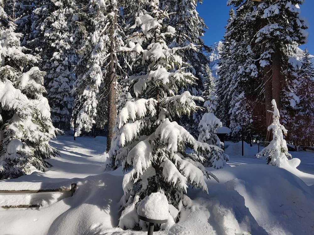 Snow and ski sports