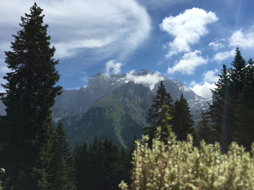 View from property