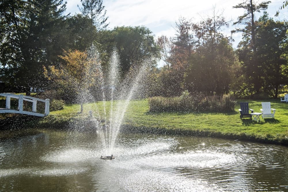 Fountain
