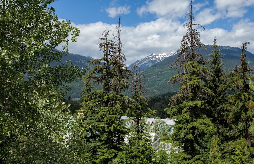 View from property