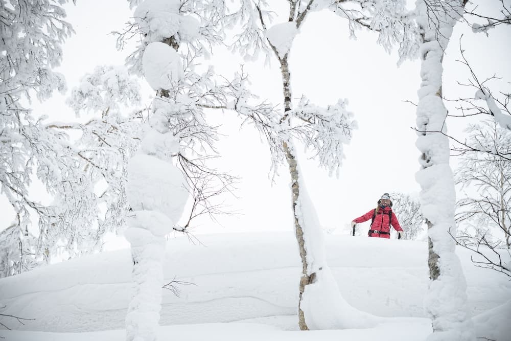 Snow and ski sports