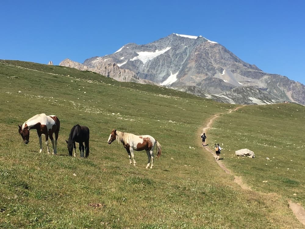Hiking