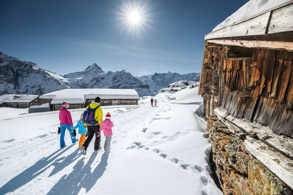 Snow and ski sports