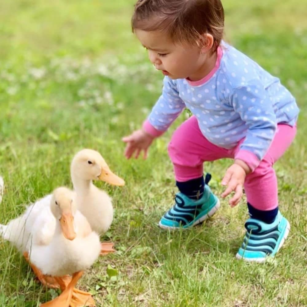 Children's activities