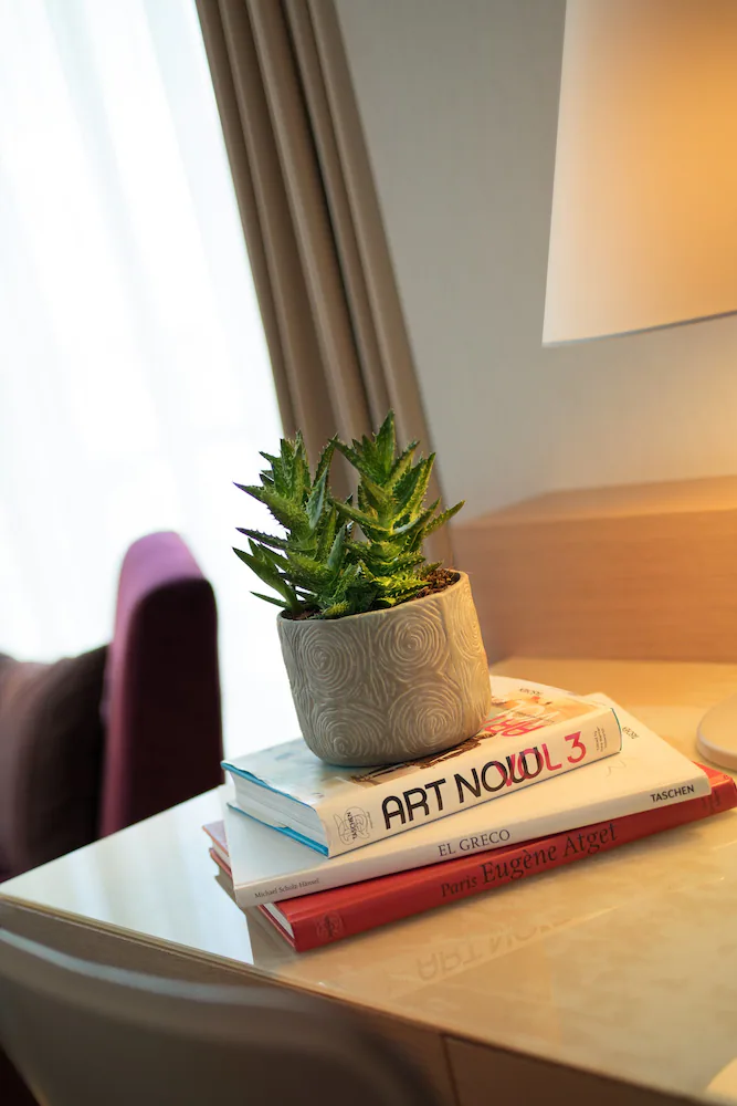 Room amenity