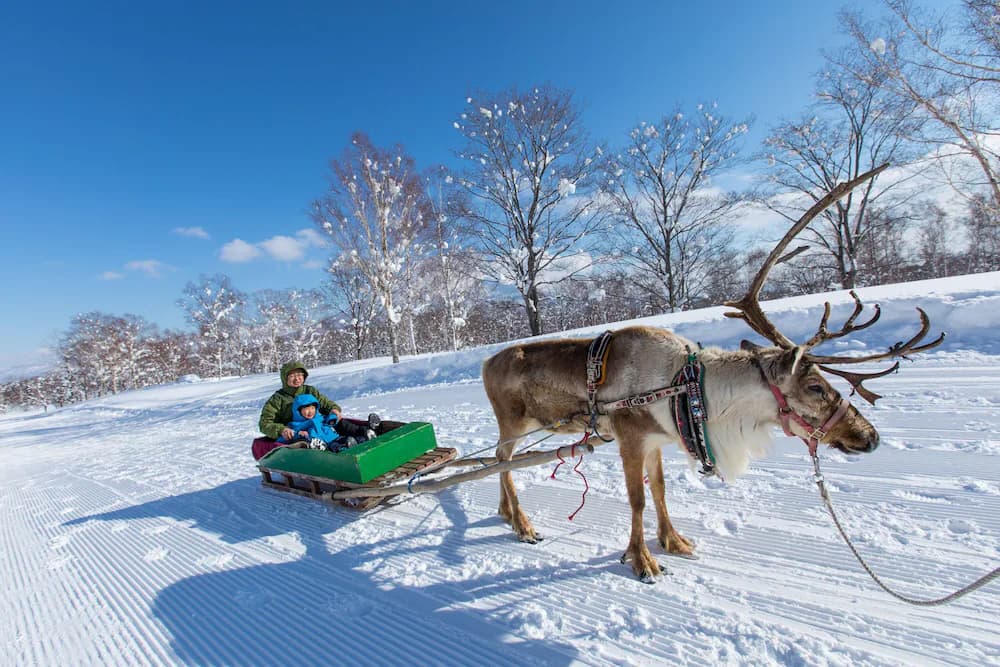 Sledding