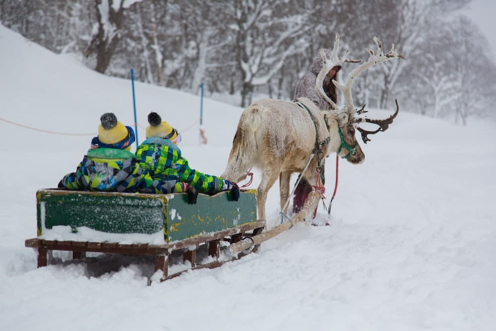 Snow and ski sports