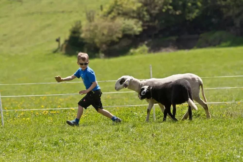 Children's activities