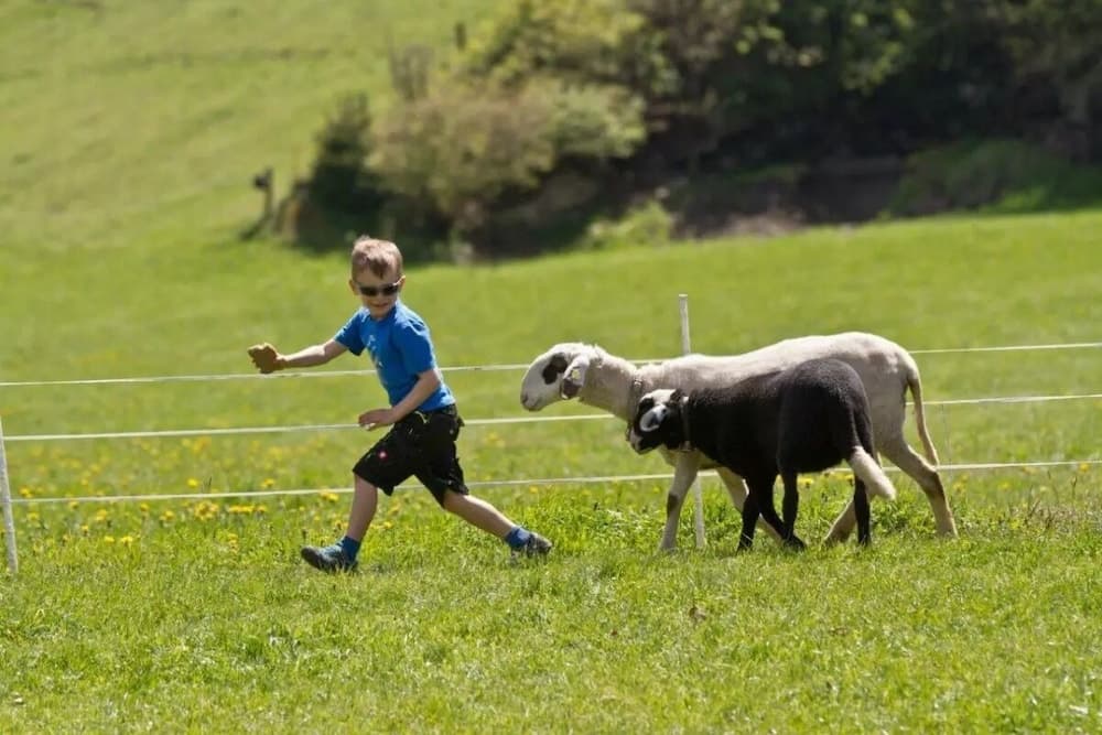 Children's activities