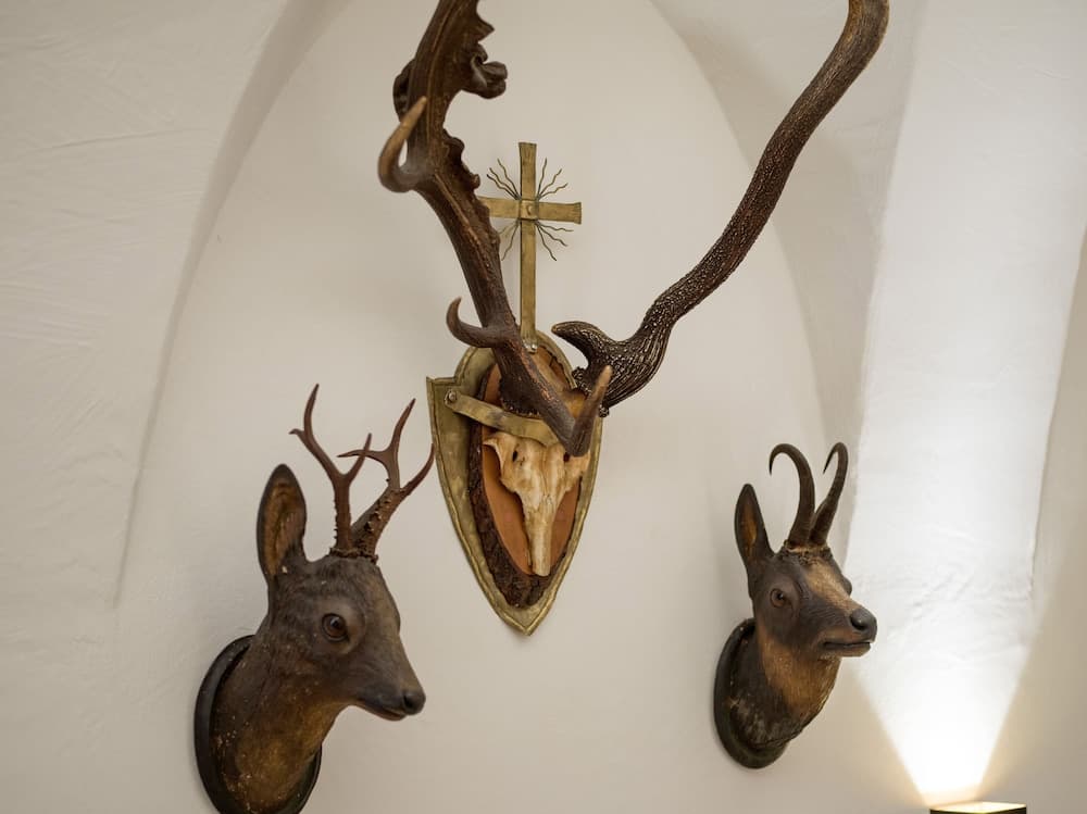 Interior detail
