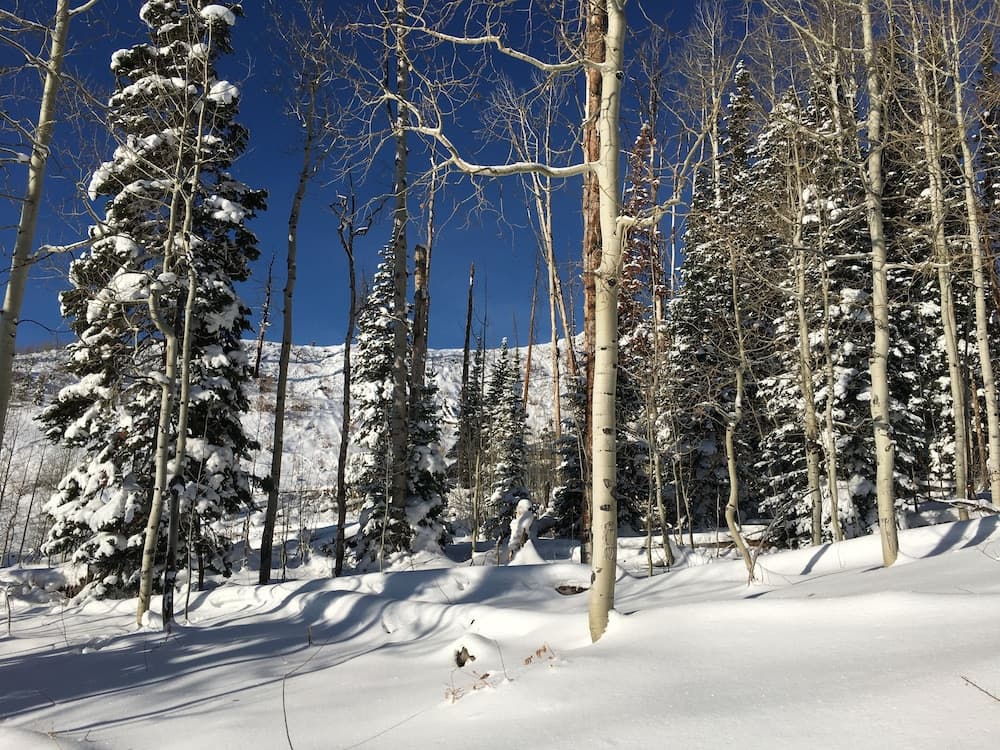Snowshoeing