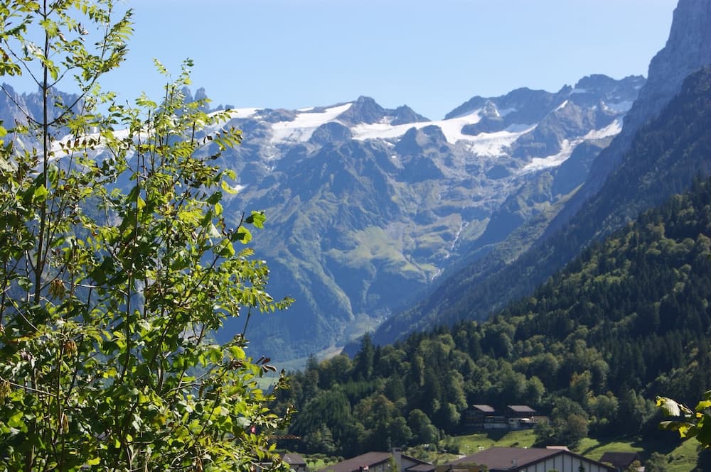 Mountain view