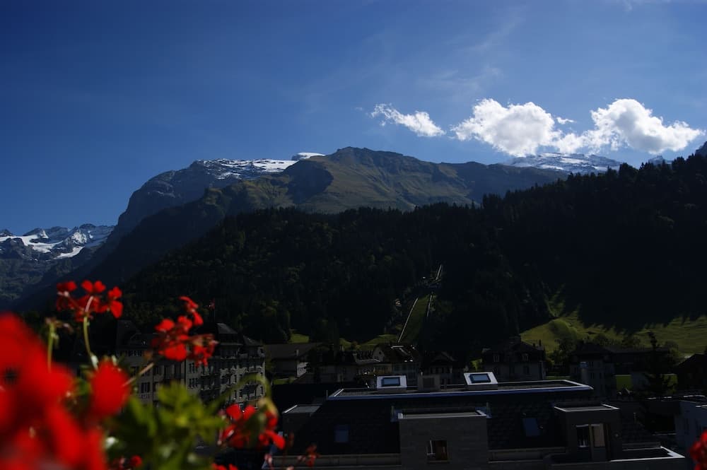Mountain view