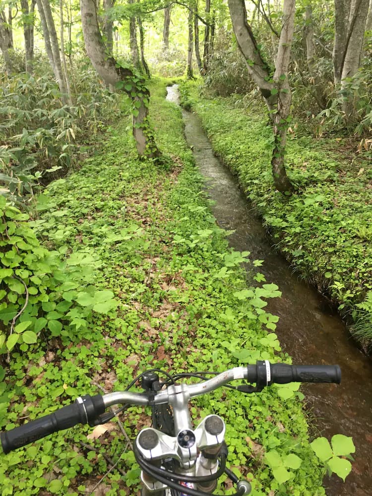 Bicycling
