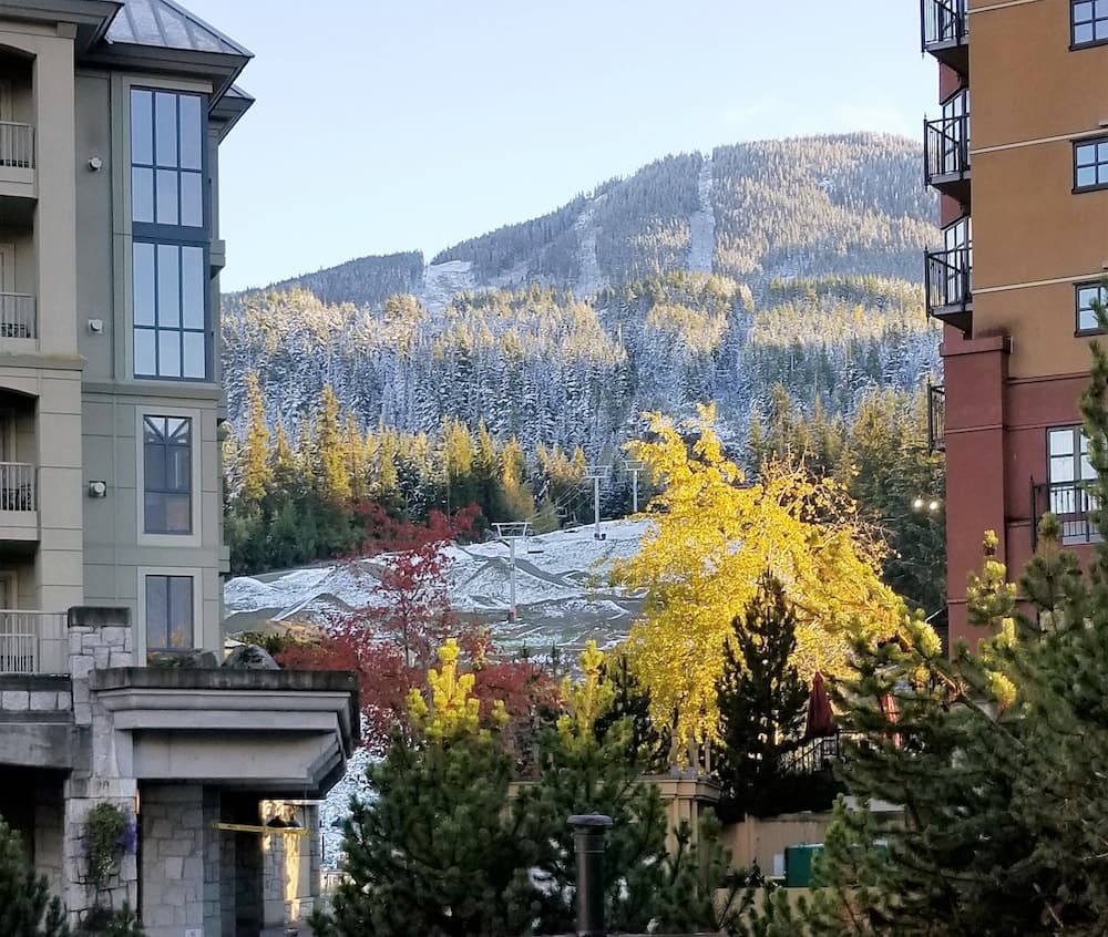 View from property